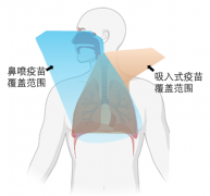 ��ʹ�����¹�����������